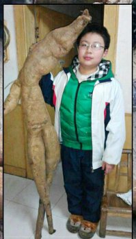 Если друг оказался вдруг...