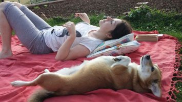 Новая поза в йоге- Собака Лапами Вверх. Делается после позы Собаки Мордой Вниз.