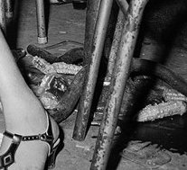 Вот что енто?! В правом нижнем углу на первом фото!