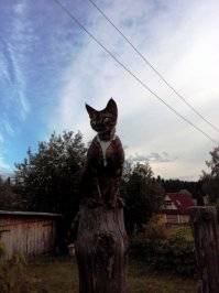 А это мой красавец, Хаммер.Летом в деревне.