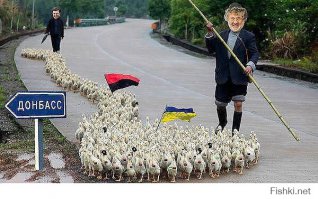 А кто вам в этом виноват? Кто виноват, что вы прыгали на своём майдане и пропрыгали жидам свою страну? Кто виноват в том, что вы с такой радостью встречали новость о массовом убийстве в Одессе? Кто виноват в том, что вы так радовались бомбёжкам Донецка, Луганска, Горловки и прочих городов и сёл Донбасса? Как это "прикольно", наверное, смотреть по укроТБ репортажи с убитыми, разорванными в клочья людьми? Только не надо врать, что вы скорбите по погибшим женщинам и детям! Вам на это давно уже глубоко наплевать!
А взятки вы тоже даёте под дулом автомата? А воруете тоже по принуждению? Врете на каждом шагу вы, видимо, тоже по принуждению...

Вы сами, своими собственными руками, поставили во власть тех, кто теперь вас, дураков, гонит на бойню. Так что нечего жаловаться. Теперь идите и умрите за своего жидовского фюрера. Ему очень нужны деньги на новую и счастливую жизнь за бугром. "Демократия" требует теперь ваших жизней и вашей крови. Попкорна у телевизора и "прикольного" кровавого шоу больше не будет. Будет холодный, грязный, сырой окоп, голод, болезни и смерть. В лучшем случае, лишние дырки в своём любимом теле или оторванные конечности. 

Вот вы и здобулы то, чего хотели. Хотели крови? Вы её получите. И кровь эта будет теперь по большей части ваша собственная. Ведь фюрер вам не обещал, что она (кровь) будет всё время чужая, не так ли? Какой народ, такое у него и правительство, и эта война на вашей совести в том числе. Никто не отмоется.
