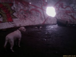 Да, заброшено много... Вот еще два "шара".