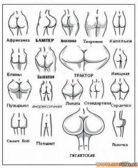 Тип жопы: Гигантская