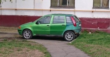 50 оттенков зеленого!