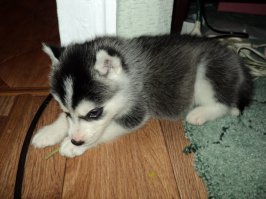 а у меня вот такое чудо было и стало)))