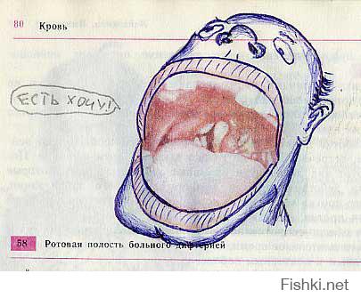 А где же рисование в учебниках?!
Фотки учебника биологии за 9 класс.