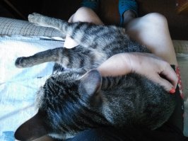 Моё сокровище.