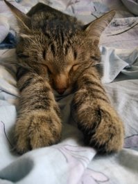 Моё сокровище.