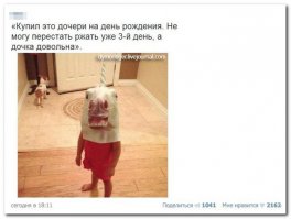 Конечно, дочка довольная! В доме уже третий день своя собственная лошадь!