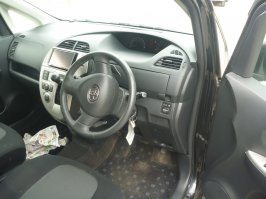 подрулевые?  в экспортном праворульном варианте будут:)