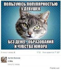 Чем коты отличаются от собак