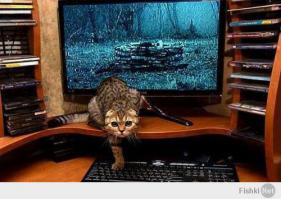 Где детонатор