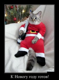 Эти животные знают, как не замерзнуть зимой