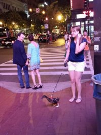 а эти брат с сестрой))))))