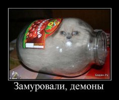 23 фотографии котиков, которые растопят ваше сердце  