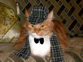 лига детективов вперед.......