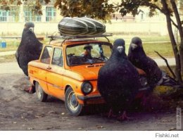 ЗАЗ-968А 1976-го года с пробегом 6 км