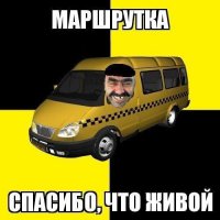 Загнал на газон маршрутку