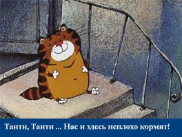 Котейка слегка толстоват