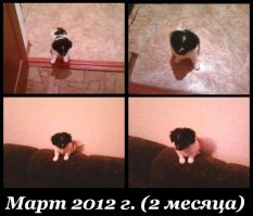 Вот моя радость (три года назад и сейчас).