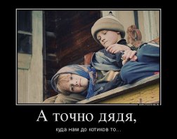 Три года назад я подобрала кота после какой-то жуткой травмы