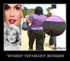 Прикольные картинки с надписями