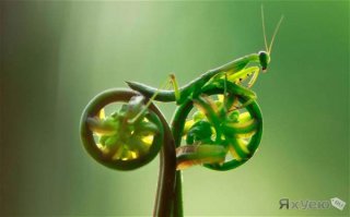 Пусть весь мир подождет