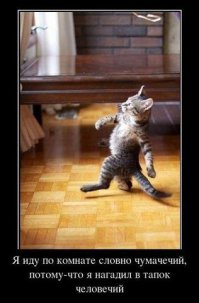 История Шелдона