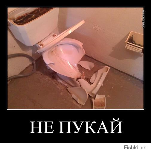 16 курьезных случаев в общественном туалете