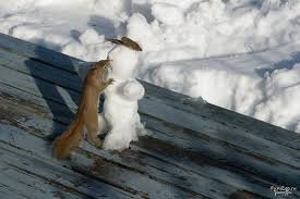 Подборка редких фотографий со всего мира