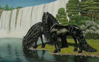 Пост любви к лошадям