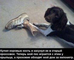 37 фото для всех, у кого не очень хороший день