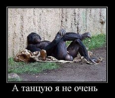 Когда горилла атакует