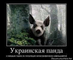 Ресурсы нашей планеты, которых мы можем лишиться в скором времени