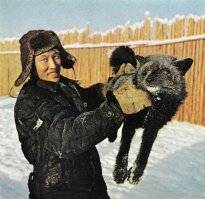 Самый холодный город на Земле