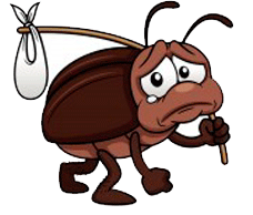 Остался неотмеченным факт... В наших городах стремительно исчезают тараканы...