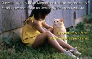 39 очаровательных доказательств, что вашему ребенку нужен кот