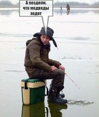 Мужчина спас огромного медведя, тонущего в океане