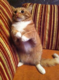 Семён Семёныч. У него тоже было трудное детство.