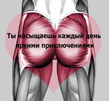 День святого Валентина в анатомических открытках