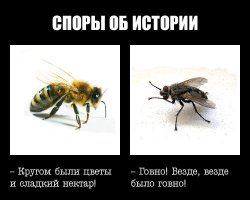 Человек просто привел статистику из книжки 75 года, когда идея "превосходства одного народа над другим" не приветствовалась государством, а осуждалась, и в целом показывает ЕДИНЕНИЕ народов в борьбе с фашизмом. А обратить внимание Вы хотели на ВАШ вывод сделанный на базе современных взглядов. Почитайте источник.