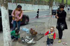 "капельница от запоя в домашних условиях"