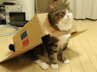 Зато не в ипотеку!