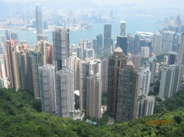 конгонг с виктории