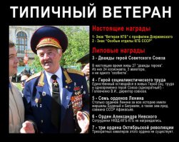 Колорады бывают разные...