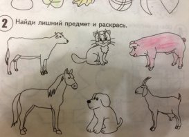 Со свиньей не понял - в чем прикол?