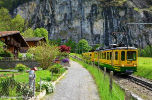 Этот вид не менее, чем на 50% состоит из "не гадить, где живёшь".