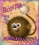 Гифки дня