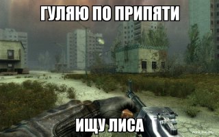 Прогулка в Припяти с лисом