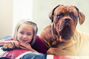 дочка с собакой (французский мастиф или бордоский дог)